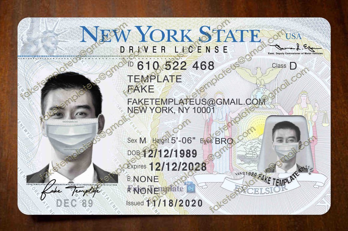 new york driver license template