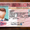 ohio-drivers-license-template-02