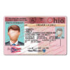 ohio-drivers-license-template-08