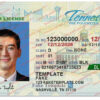 tennessee-drivers-license-template-01