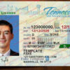 tennessee-drivers-license-template-02