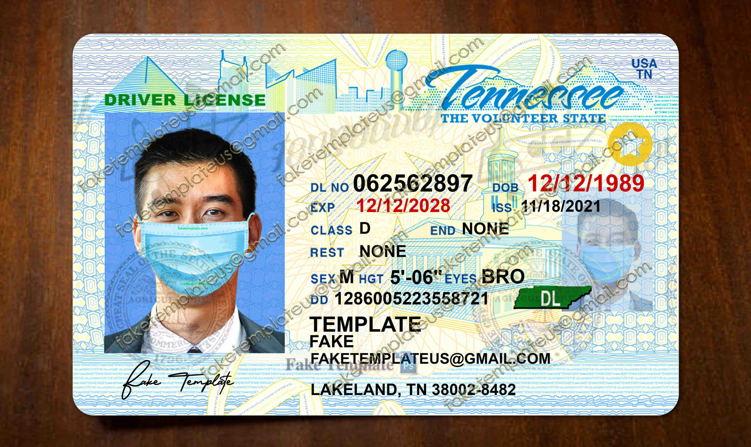 tennessee drivers license template