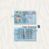 ukraine-driver-license-04