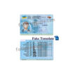 ukraine-driver-license-05