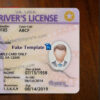 virginia-drivers-license-template-02