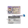 virginia-drivers-license-template-05