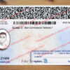 wisconsin drivers license back