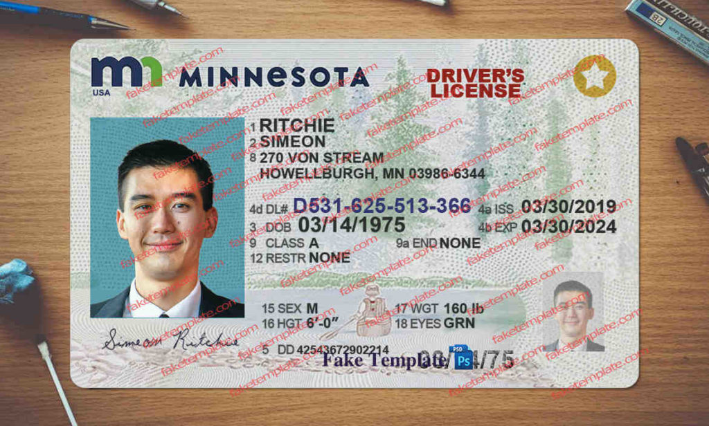 Minnesota driver license template