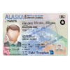 alaska-driver-license-template-01