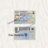 alaska-driver-license-template-04