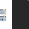 alaska-driver-license-template-05