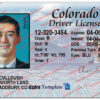 colorado-driver-license-template-02