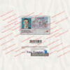 colorado-driver-license-template-05