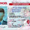 illinois-driver-license-template-01