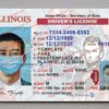 illinois driver license template