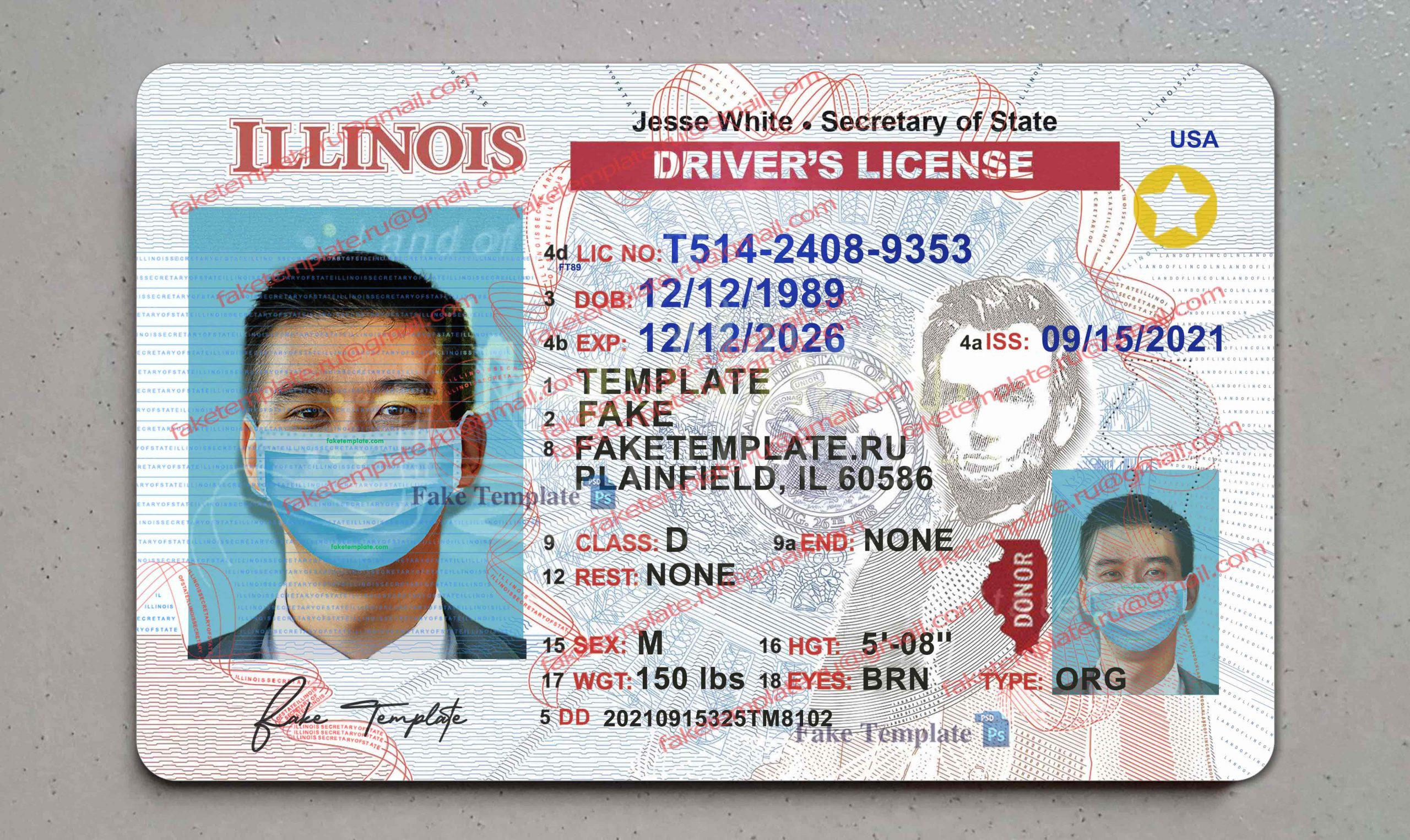 illinois driver license template