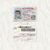 blank illinois drivers license