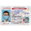 illinois drivers license template