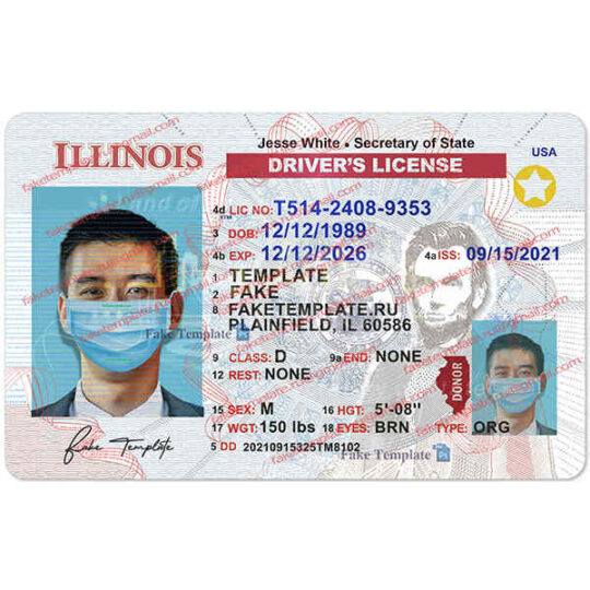 illinois drivers license template