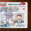 sc-drivers-license-template-02