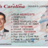 south-carolina-drivers-license-template-09