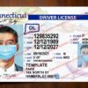 connecticut driver license template