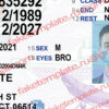 connecticut driver license psd