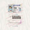 ct driver license template