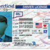 connecticut-drivers-license-template-01