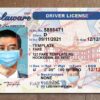 delaware drivers license template