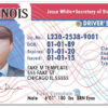 illinois-drivers-license-template-01