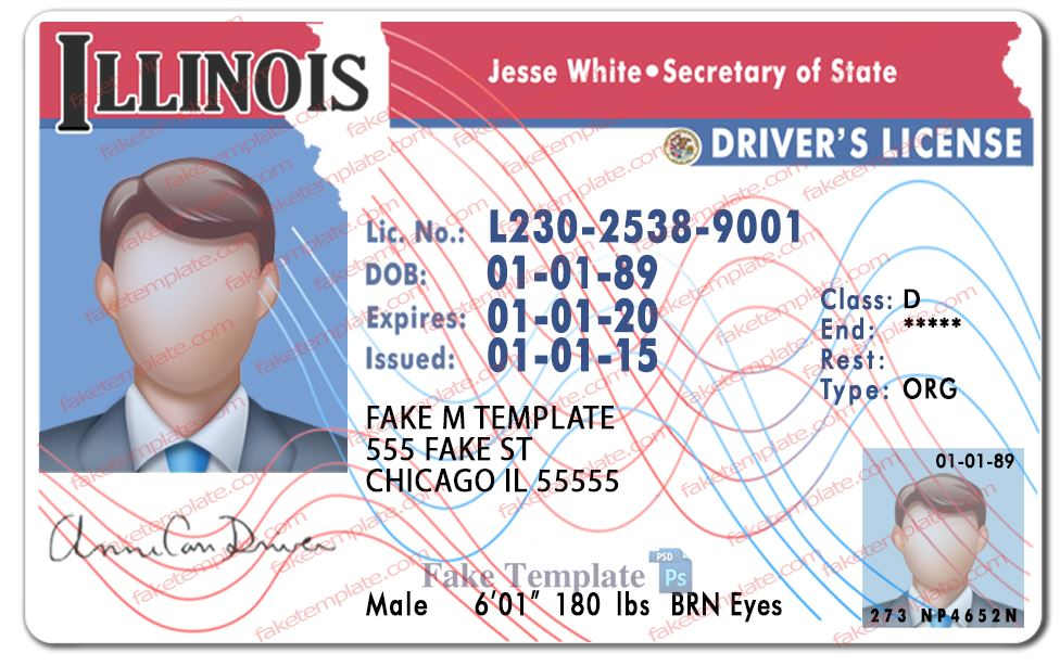 illinois-drivers-license-template-01