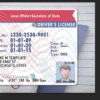 illinois-drivers-license-template-02