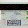 back-colorado-drivers-license-04