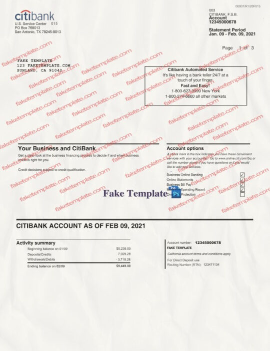 citibank statement template 01