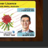 nsw drivers license template 2