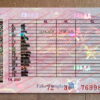 russia drivers license back