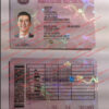 fake russia driver license