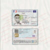 fake france id card