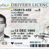 alberta driver license template