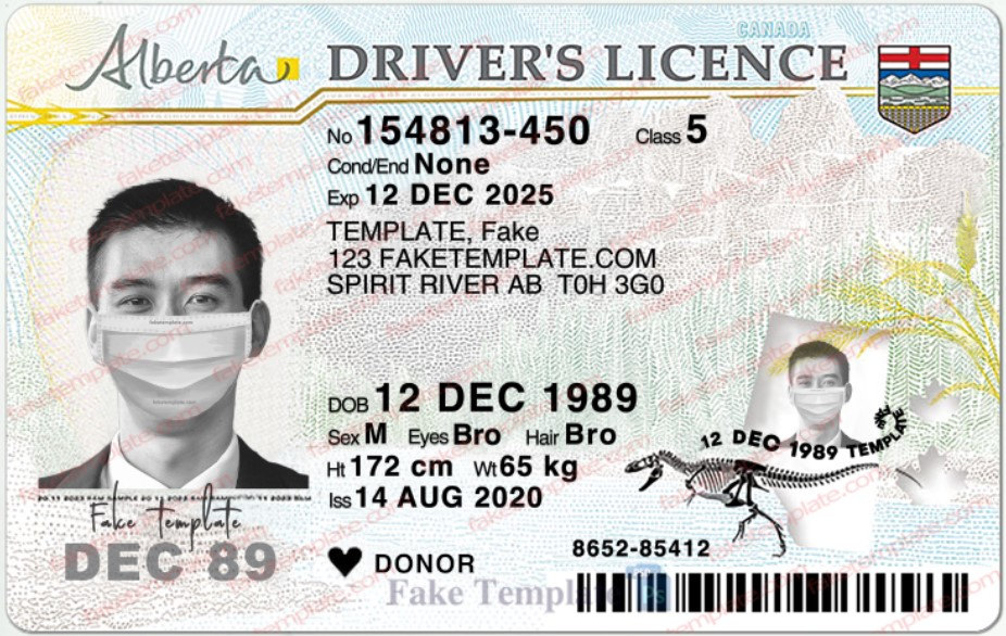 alberta drivers license template