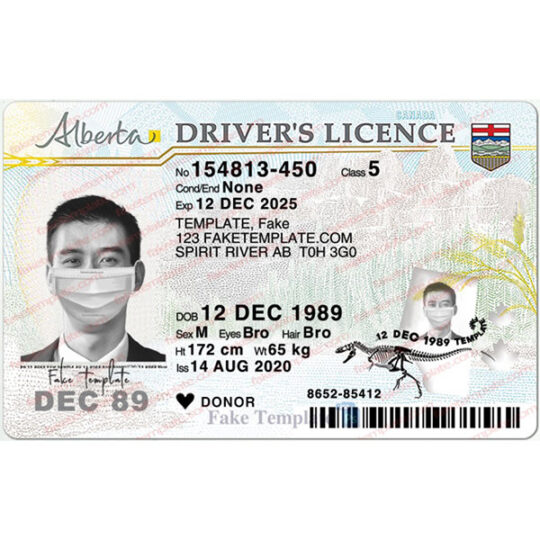 blank alberta drivers license template