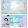 albania passport template psd