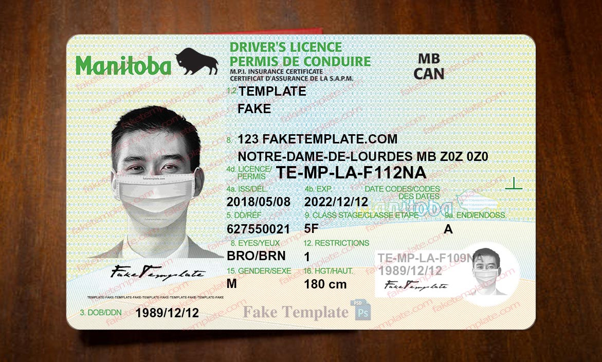 manitoba drivers license template