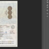 norwegian passport template