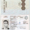 norway passport template