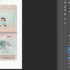 turkey passport template