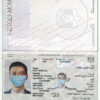 uae passport template