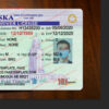 ne driver license template