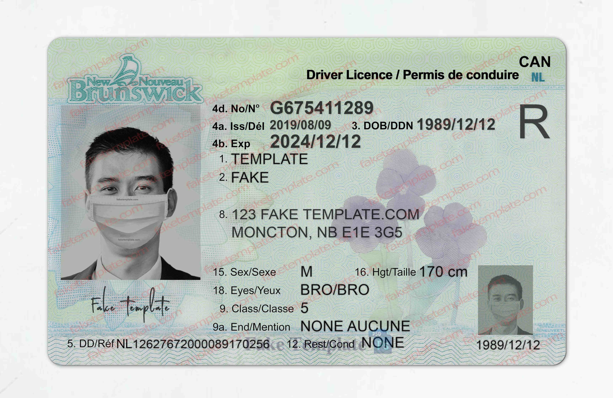 new brunswick drivers license template